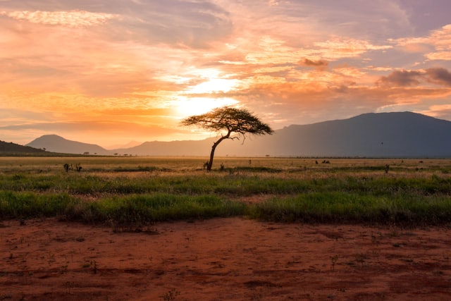 Rwanda