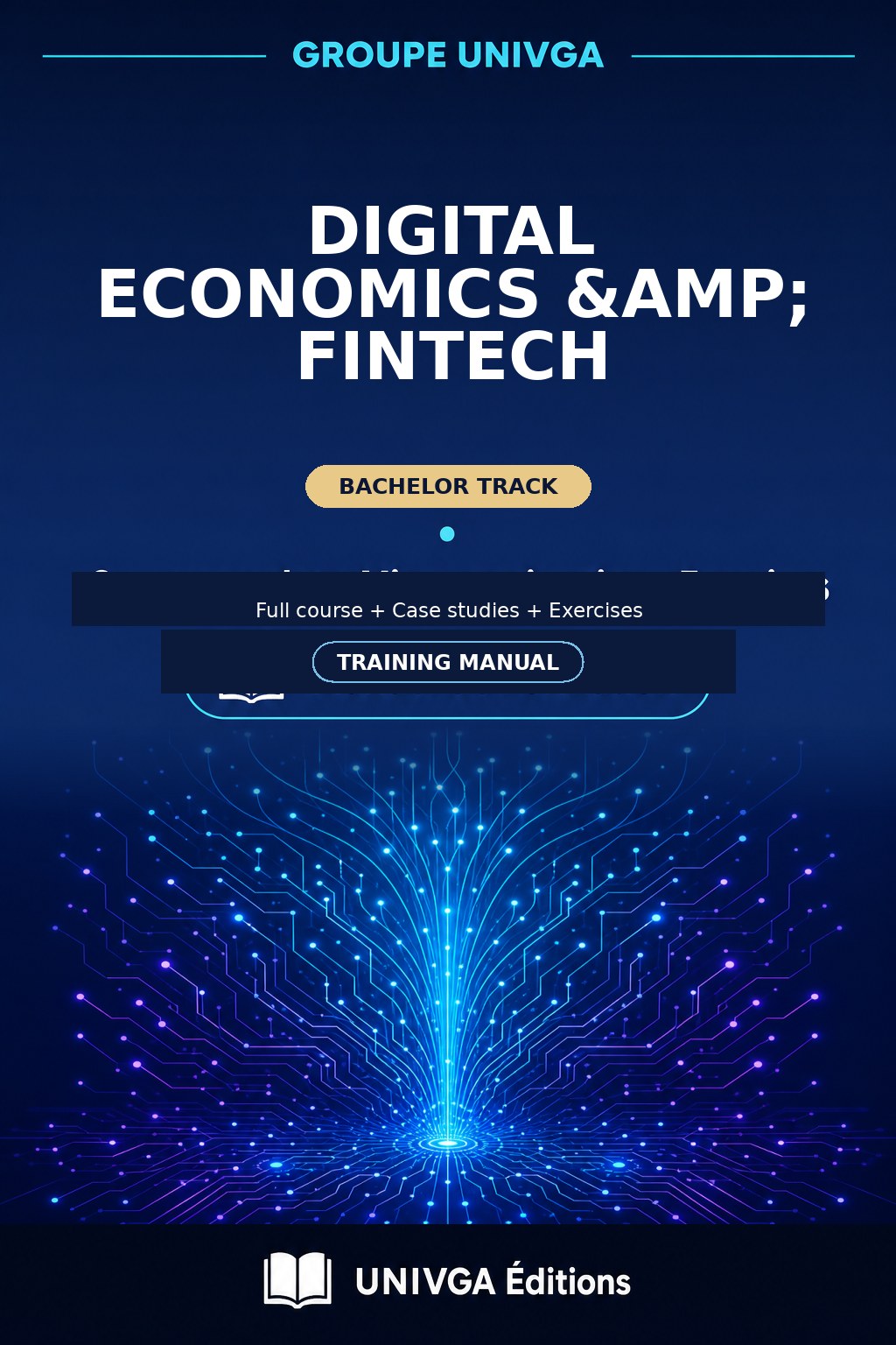 Cover of the manual — Bachelor of Science (BSc) in Digital Economy & Fintech